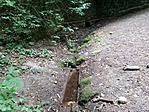 IMG_20190831_170409