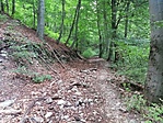 IMG_20190831_175003