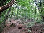 IMG_20190831_170253