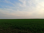 IMG_20190823_190137