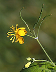IMG_0768_1