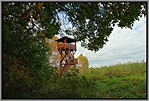 IMG_0929_1
