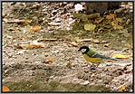 IMG_1111_1