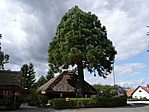 P1030968