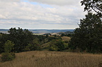 IMG_0268