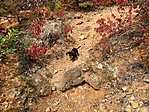 IMG_20190929_105711-01