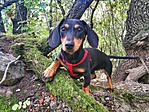 IMG_20190929_110342-01