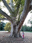 IMG_20190922_180318