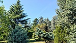 Folly Arborétum