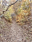 2019-10-24 13.36.03-1