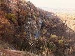 2019-10-24 14.17.55-1