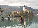 IMG_5681