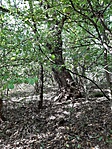 20191012_121036