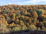 Fehér-kő