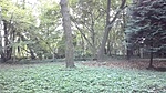 72476145_417907025578031_6709192185725583360_n