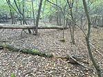Környék