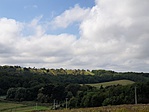 2019-09-29 13.56.04R