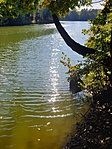 2019-09-29 14.56.21R