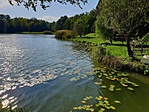 2019-09-29 14.59.22R