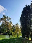 2019-09-29 14.51.26R