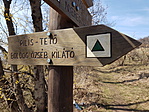 20190330_125354 (1)