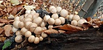 20191019_150019