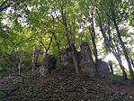 IMG_20191011_141751