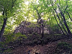 IMG_20191011_141858