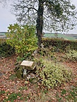 20191030_105755