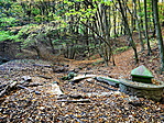 IMG_20191018_145059_resize_2