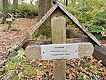 IMG_20191018_142319_resize_2