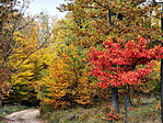 IMG_20191018_141507_resize_2