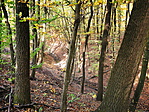IMG_20191018_144716_resize_2