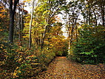 IMG_20191018_144259_resize_2