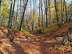 Szakadék1