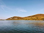 IMG_9900