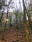 IMG_0238
