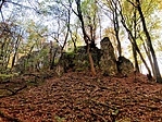 IMG_0241