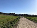 IMG_0248