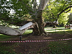 Füzérradványi kastély-1