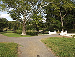 Füzérradványi kastély-6