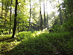Kőről kőre Bakonybélben-6
