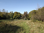 Kőről kőre Bakonybélben-14