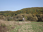 Zoltay-forrás-2