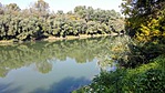 1217. Kürti Arborétum TISZAKÜRT (7)