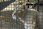 DSC04157