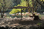 DSC04188