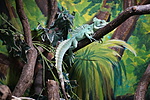 DSC04208
