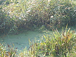 GC4263K
