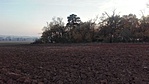 IMG_20191023_172921
